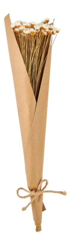 ACTINO Fleurs Séchées Blanc