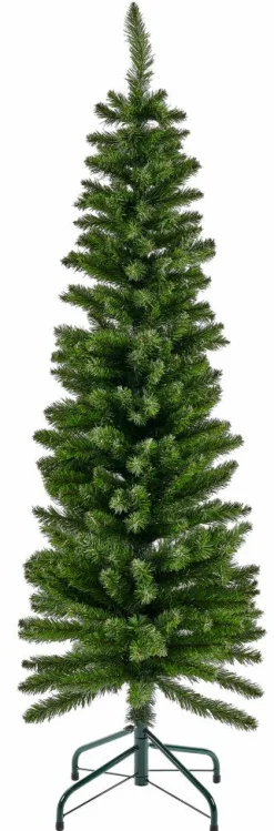 BERRY Branche De Baies Rouge