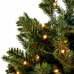 CEDER Branche Décorative Vert