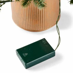 CEDER Branche Décorative Vert