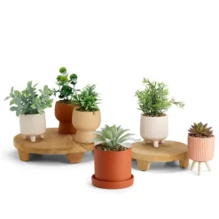 CERA Plante Artificielle Diverses Couleurs