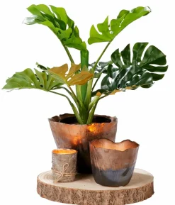 FLAME Bougies Chauffe-plat Set De 100 Blanc