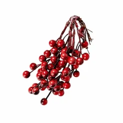 FOAM Branches D'églantier Rouge