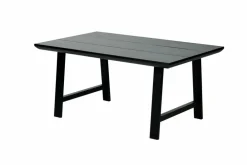 FORMAX Table De Jardin Avec Pieds A Noir