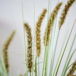 GRASS Botte D'herbe Vert