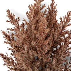 LINDE Vase Brun Clair