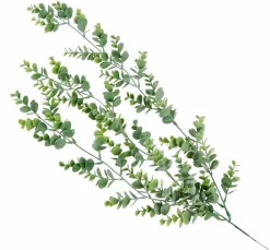 PAMPAS Tiges D'herbe Gris