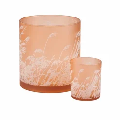 PAMPAS Tiges D'herbe Gris