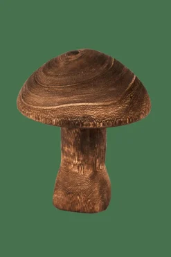 PAULO Champignon Brun
