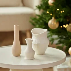 STAR Décoration Séchée