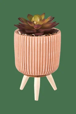 STRIPE Plante Grasse Artificielle Multicolore