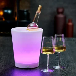 VACUVIN Refroidisseur Argent