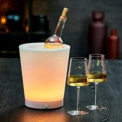 VACUVIN Refroidisseur Argent