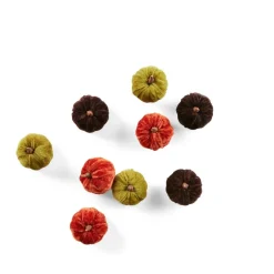 VELVET Citrouille Déco Set De 3 Multicolore